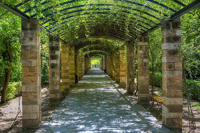 National garden, Athens